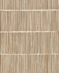 Aspen Neutral Natural Stripe Wallpaper by   