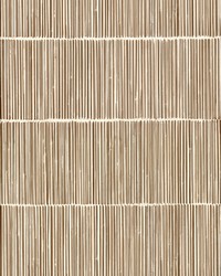 Aspen Neutral Natural Stripe Wallpaper by  Carey Lind 