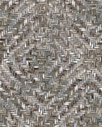 Lakewood Weave Ebony Wall Mural by  Carey Lind 