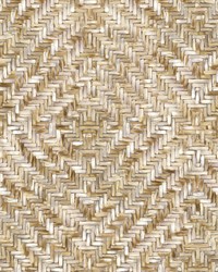 Lakewood Weave Straw Wall Mural by  Carey Lind 