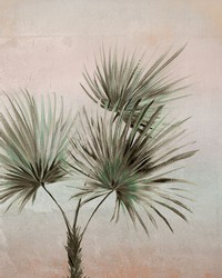 Durango Palm Ombre Wall Mural by  Carey Lind 