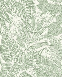 Brentwood Green Palm Leaves  4034-72116 by   