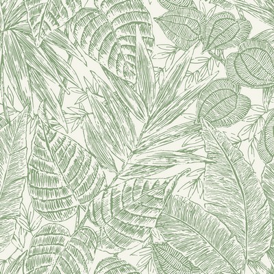 Brentwood Green Palm Leaves  4034-72116 Scott Living III 4034-72116 Green Paper Weave Grasscloth Flower Wallpaper Tropical Wallpaper 
