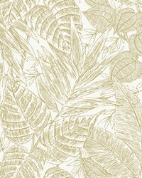Brentwood Yellow Palm Leaves  4034-72117 by   