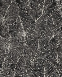 Eilian Black Palm Wallpaper 4041-456608 by  Brewster Wallcovering 