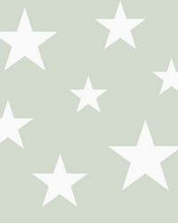 Amira Sage Stars Wallpaper 4060-128865 by   