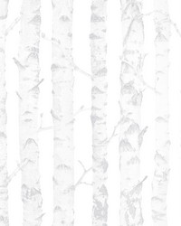 Birdie Grey Birch Wallpaper 4060-138944 by   