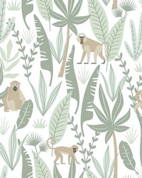 Kiki Light Green Monkeys Wallpaper 4060-139071 by   