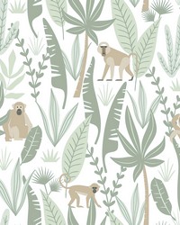 Kiki Light Green Monkeys Wallpaper 4060-139071 by  Old World Weavers 