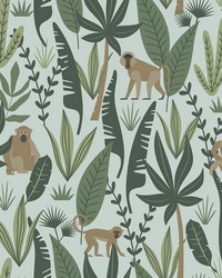 Kiki Green Monkeys Wallpaper 4060-139073 by  Mitchell Michaels Fabrics 