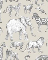 Kenji Taupe Safari Wallpaper 4060-139270 by  Brewster Wallcovering 