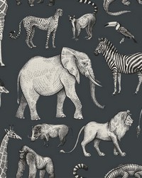 Kenji Navy Safari Wallpaper 4060-139272 by  Brewster Wallcovering 