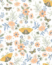 Zev Coral Butterfly Wallpaper 4060-58105 by   