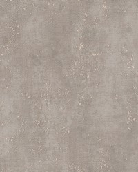 Mohs Taupe Cork Wallpaper 4082-381953 by  Brewster Wallcovering 