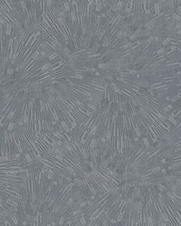 Agassiz Grey Burst Wallpaper 4082-382031 by   