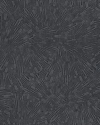 Agassiz Black Burst Wallpaper 4082-382035 by  Alexander Henry 
