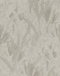 Chet Grey Spray Wallpaper 4096-520736 by  Ralph Lauren 