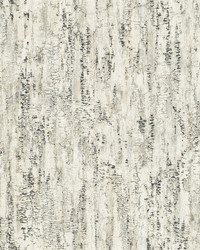 Colm Charcoal Birch Wallpaper 4096-554045 by   
