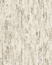 Colm Beige Birch Wallpaper 4096-554052 by   