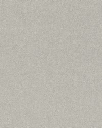 Dale Light Grey Texture Wallpaper 4096-554489 by   