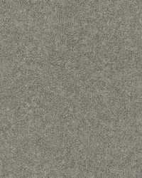 Dale Dark Grey Texture Wallpaper 4096-554564 by   