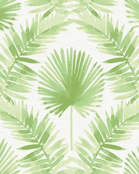 Calla Green Painted Palm Wallpaper 4121-26911 by   