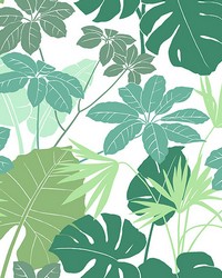 Medellin Green Rainforest Floor Wallpaper 4122-72409 by  Washington Wallcoverings 