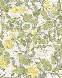 Kort Yellow Fruit and Floral Wallpaper 4143-22027 by   