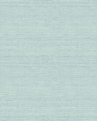 Agave Aqua Faux Grasscloth Wallpaper 4143-24282 by   