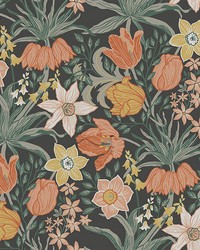 Cecilia Black Tulip and Daffodil Wallpaper 4143-34031 by   