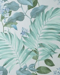 Eden Grey Tropical Wallpaper 4157-M1651 by   