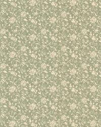 Vermont Green Small Daisy by  Brewster Wallcovering 