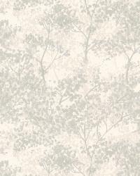 Lavinia Sage Tree Forest by  Brewster Wallcovering 