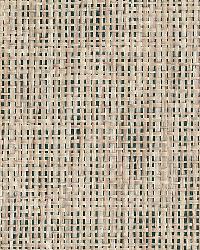 Kyou Taupe Grasscloth by   