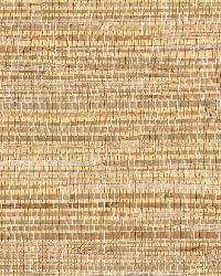 Mayu Taupe Grasscloth by   