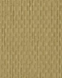 Fang Taupe Grasscloth by   