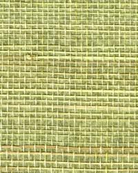 Miyo Green Grasscloth by   