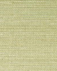 Narumi Light Green Grasscloth by   
