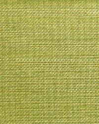 Wakumi Olive Grasscloth by   
