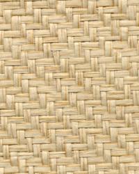 Tao Beige Grasscloth by   