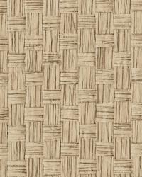 Hui Ying Taupe Grasscloth by   