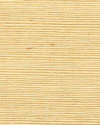 Wan Beige Grasscloth by   