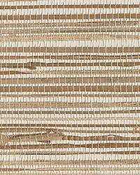 Ting Taupe Grasscloth by   