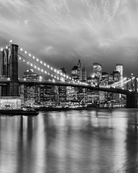 Brooklyn Black  White Wall Mural 8-934 by  Brewster Wallcovering 