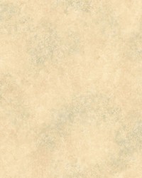 Cecil Light Green Texture Cecil Light Green Texture by  Brewster Wallcovering