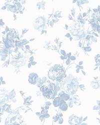 Everblooming Rosettes Dreamy Sky Cabbage Rose Bouquets Wallpaper AST4102 by  Kravet 