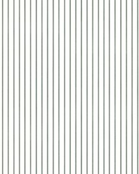 Oliver Green Simple Stripe Wallpaper AST4972 by  Brewster Wallcovering 