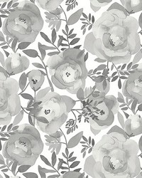 Blooming Floral Dove Grey Wall Mural ASTM3906 by   