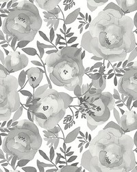 Blooming Floral Dove Grey Wall Mural ASTM3906 by  Ralph Lauren Wallpaper 