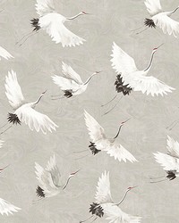 Crane You Later Dove Grey Wall Mural ASTM3909 by   